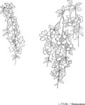 日本线描植物花卉矢量素材