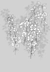 日本线描植物花卉矢量素材