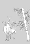 日本线描植物花卉矢量素材