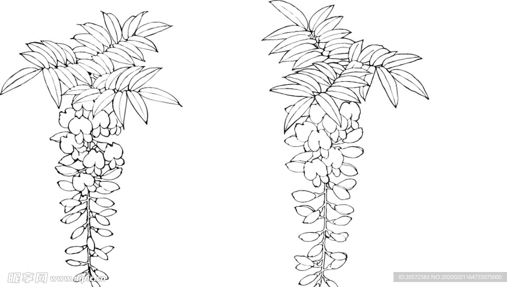 日本线描植物花卉矢量素材