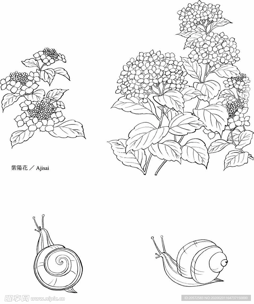 日本线描植物花卉矢量素材