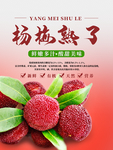 杨梅海报