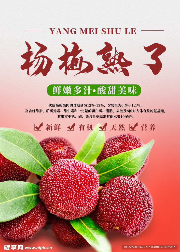 杨梅海报