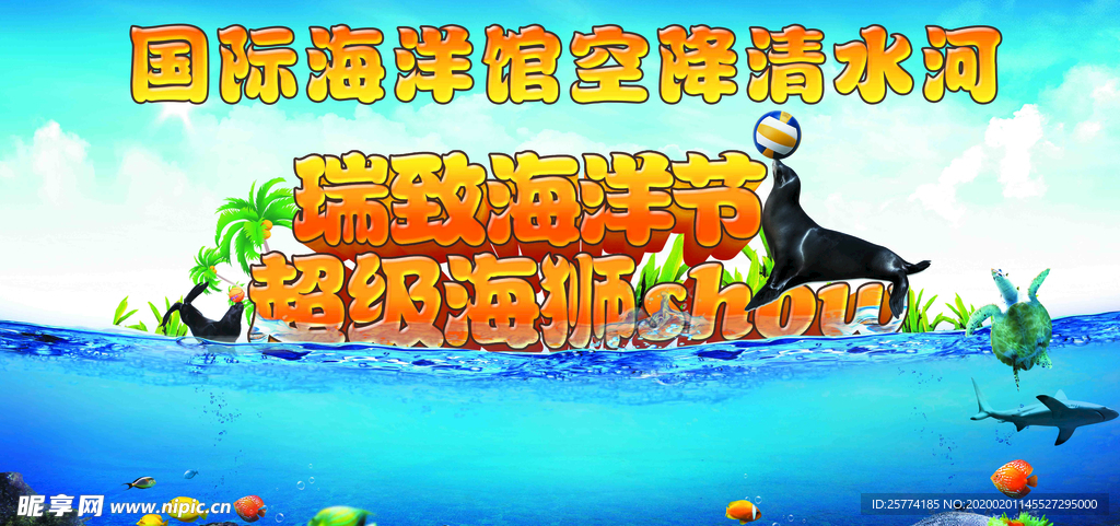 国际海洋馆 超级海狮show