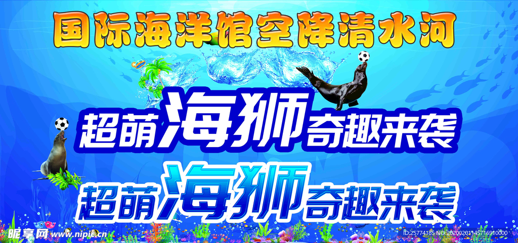 超萌海狮奇趣来袭  海洋馆