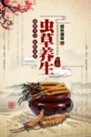 虫草养生海报
