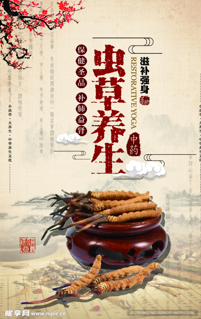 虫草养生海报