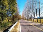 乡村公路