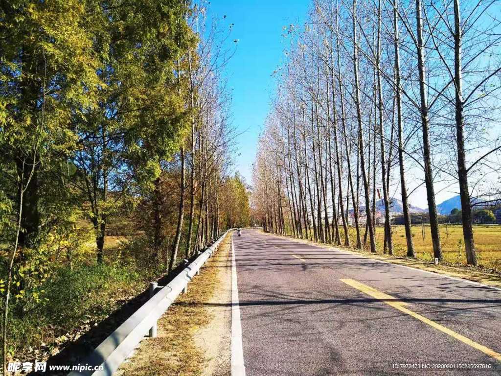 乡村公路