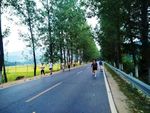 乡村公路