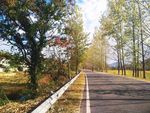 乡村公路