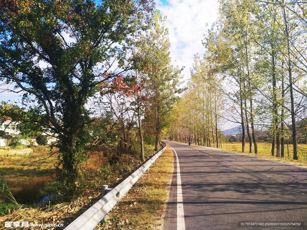 乡村公路