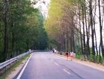 乡村公路