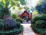 小区绿化