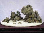 盆景造型