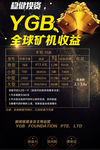 YGB投资酷黑金币海报