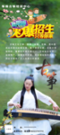 古筝暑假招生易拉宝海报