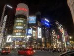 2019日本台场海滨公园  日