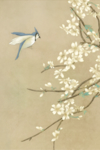 古典手绘花鸟插花