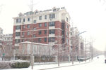 雪后小区