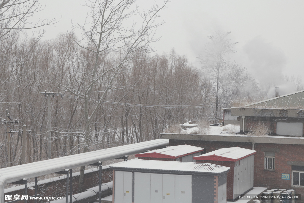 雪景