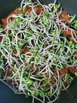 火锅食材