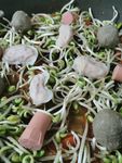 火锅食材