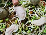 饺子