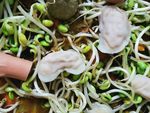 火锅食材