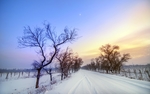 唯美雪后街景高清电脑壁纸