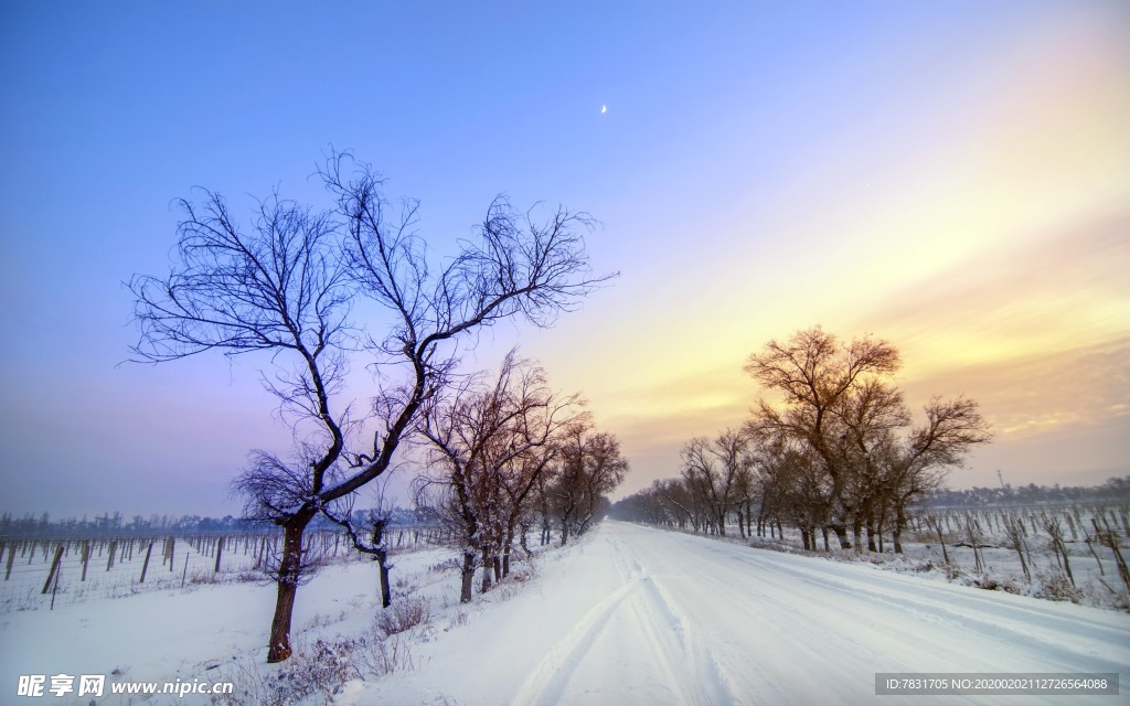 唯美雪后街景高清电脑壁纸