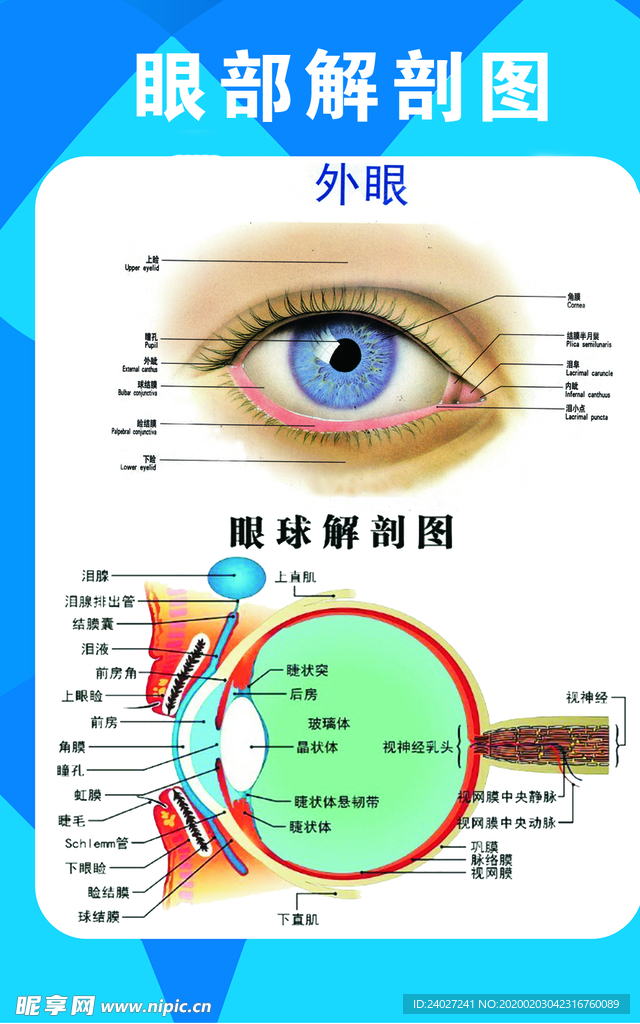 眼部护理