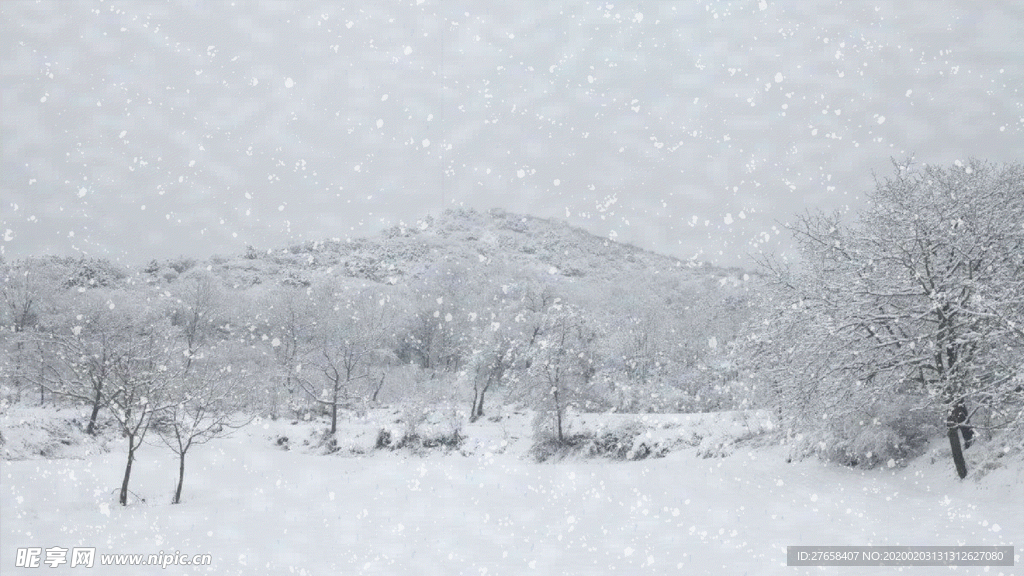 郊外雪景