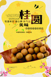 桂圆