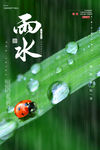 雨水