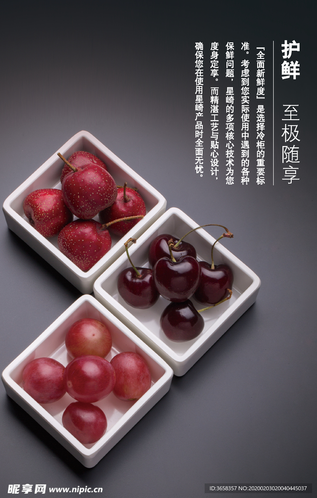 宣传单页
