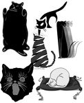 猫猫 cat 高清图