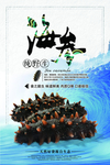 海参海报