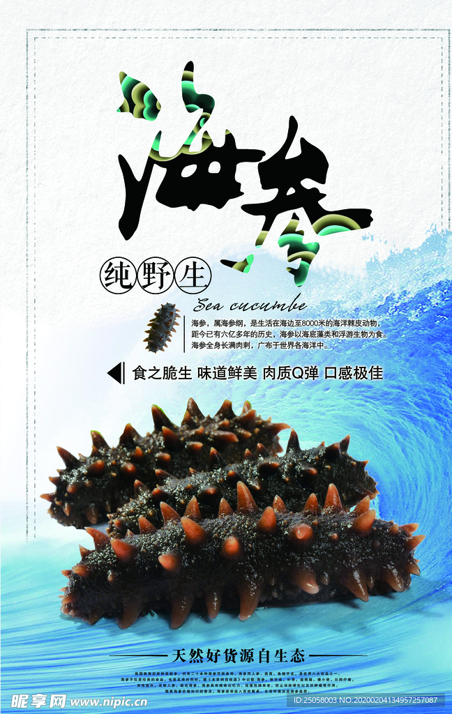 海参海报