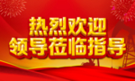 热烈欢迎领导莅临指导