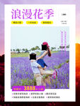 薰衣草海报