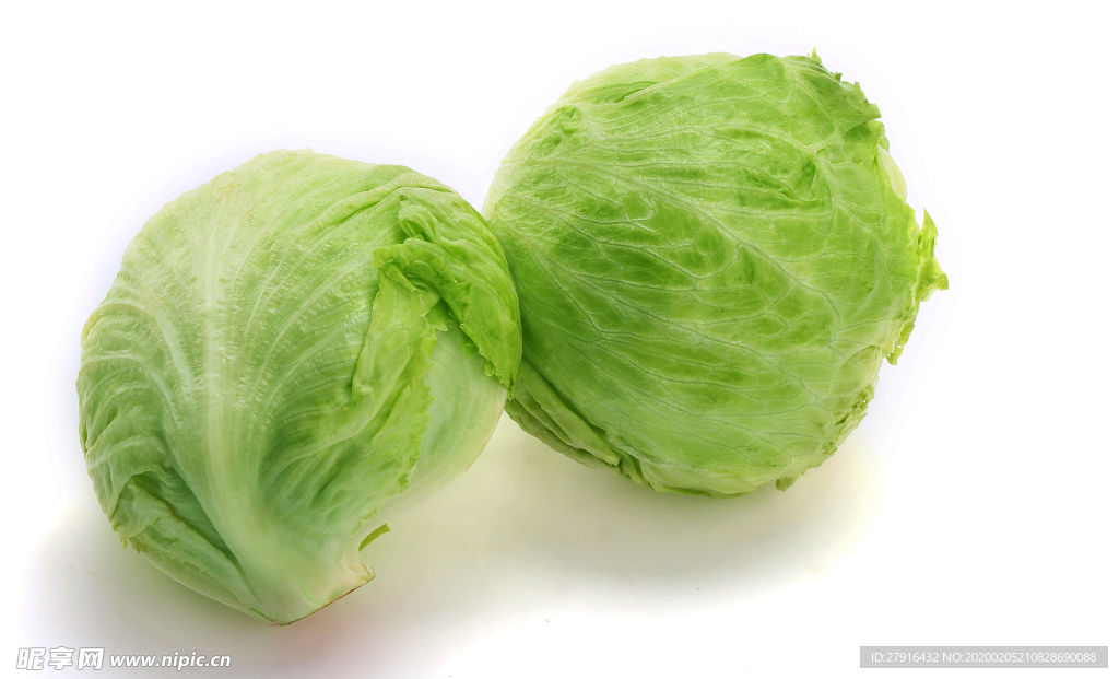 圆生菜