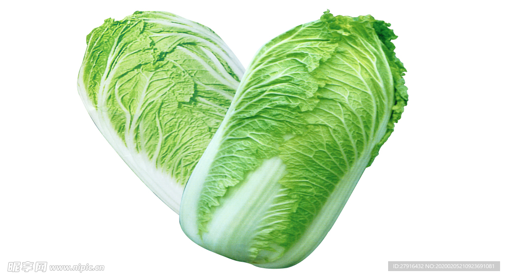 大白菜