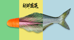 新鲜时蔬营养均衡