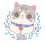 可爱猫咪