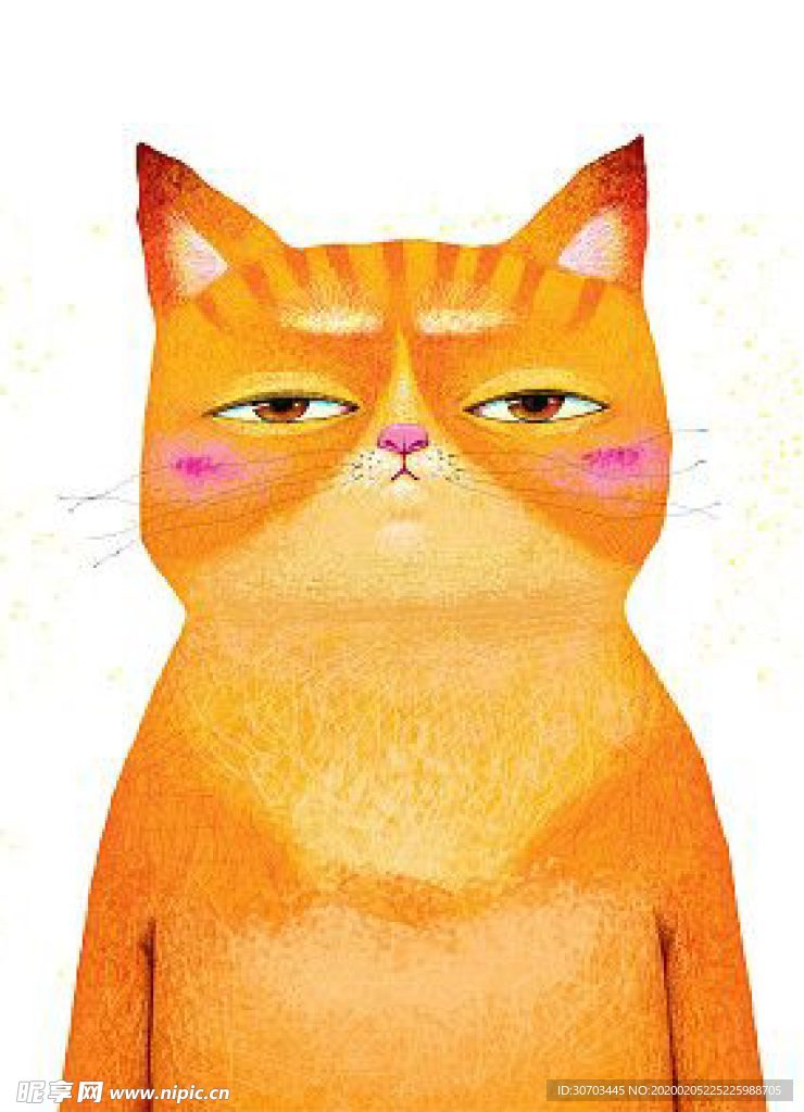 黄色猫