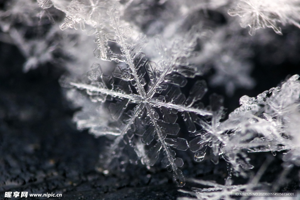 微距摄影之雪花