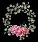 花卉