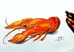 手绘小龙虾