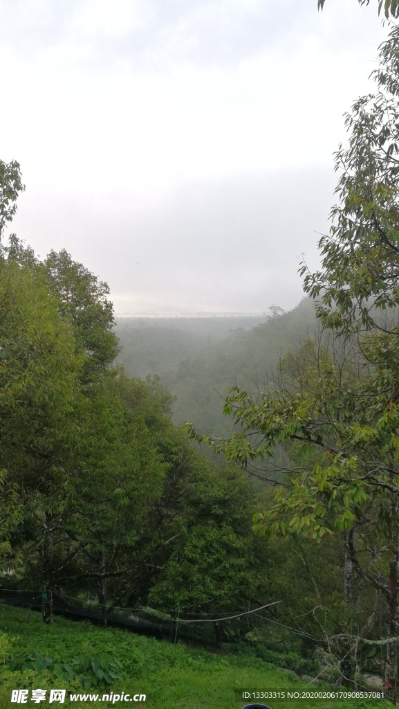 蓝天绿野